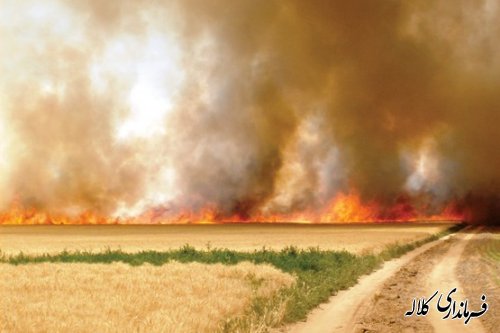 70 هکتار از اراضی کشاورزی کلاله در آتش سوخت