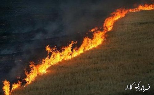 70 هکتار از اراضی کشاورزی کلاله در آتش سوخت