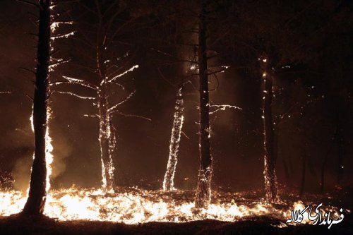 ۳ هکتار از اراضی جنگلی شهرستان کلاله در آتش سوخت‌