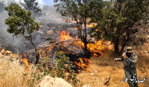 آتش‌سوزی در جنگل‌های شمالی پارک ملی مهار شد