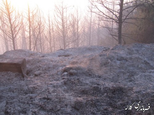 آتش سوزی جنگل های کلاله ظهر امروز مهار شد + گزارش تصویری