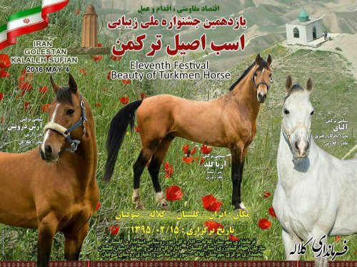 اطلاعیه یازدهمین جشنواره ملی زیبایی اسب اصیل ترکمن