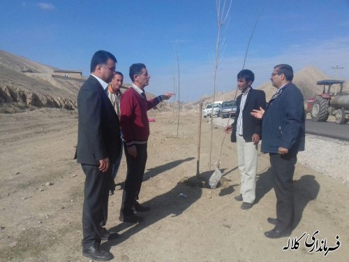 اجرای طرح درخت کاری در روستای اوقچی بزرگ بخش مرکزی 