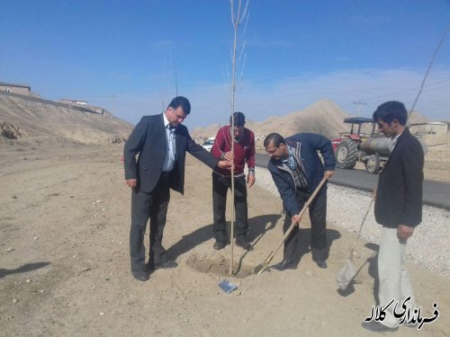 اجرای طرح درخت کاری در روستای اوقچی بزرگ بخش مرکزی 