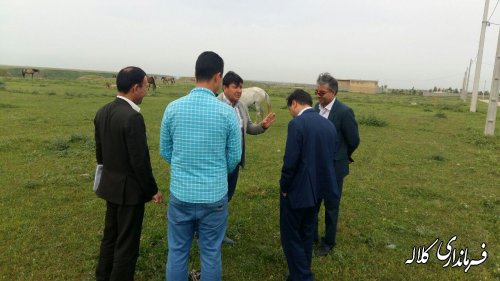 بازدید فرماندار کلاله از محل برگزاری جشنواره اسب صوفیان