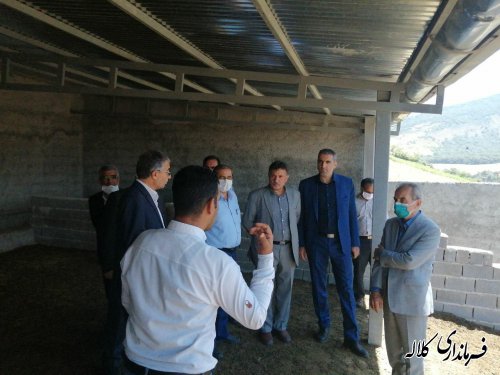بازدید فرماندار کلاله از یک واحد دامداری 80 راسی واقع در روستای حاجی حسن