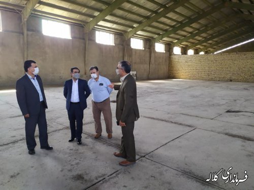 بازدید فرماندار کلاله از مراکز خرید کلزا در شهرستان