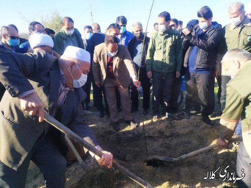 کاشت  ۸ هزار اصله نهال در قالب پویش سبز، هر ایرانی یک درخت در کلاله