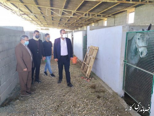 بازدید فرماندار کلاله از روند ساخت باشگاه پرورش اسب 