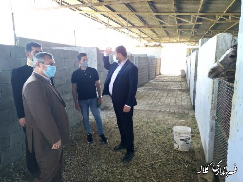 بازدید فرماندار کلاله از روند ساخت باشگاه پرورش اسب 