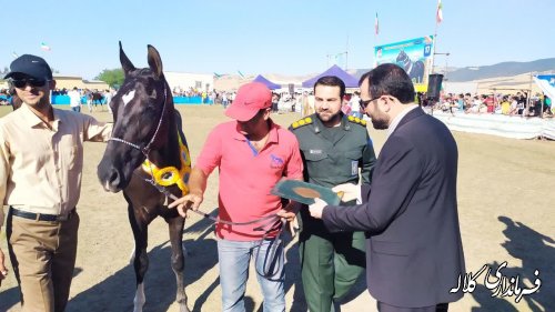 برگزاری جشنواره ملی زیبایی اسب ترکمن فرصتی جهت معرفی ظرفیت های منطقه است