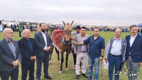 برگزاری جشنواره ملی فرهنگی، ورزشی، زیبایی اسب اصیل ترکمن در روستای صوفیان